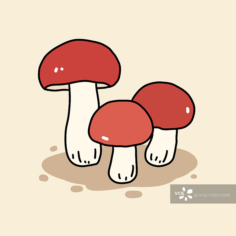 蘑菇插画-红菇图片素材