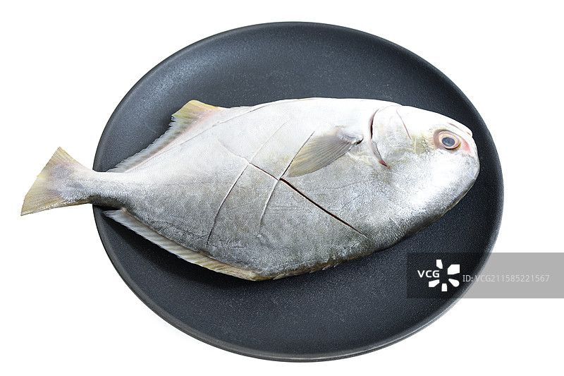 盘子上的新鲜食材海鲜金鲳鱼的白底图图片素材