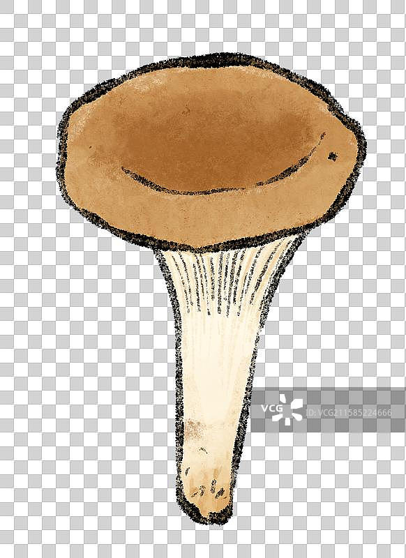 野生菌子-猪肚菌图片素材