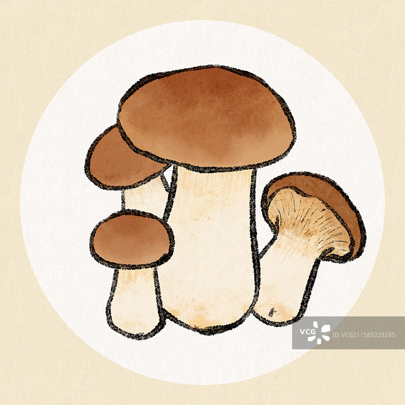 杏鲍菇图片素材