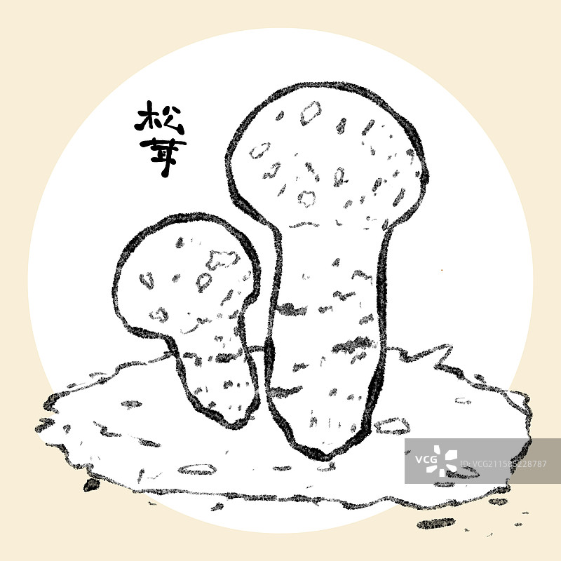 野生菌子-松茸图片素材