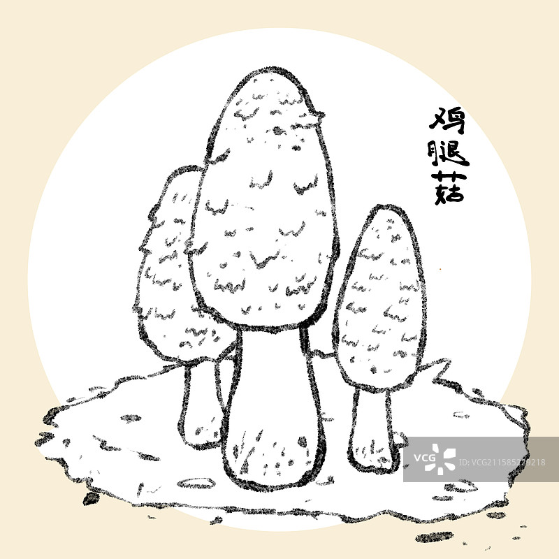 野生菌子-鸡腿菇图片素材