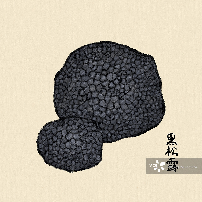 野生菌子-黑松露图片素材