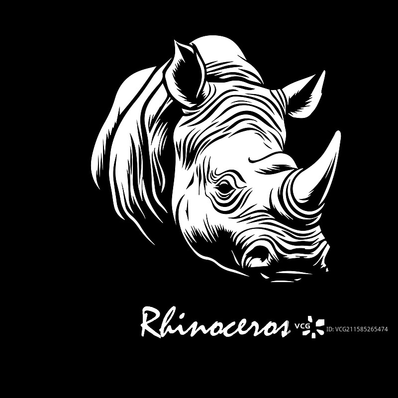 黑色背景上的犀牛头手绘图图片素材
