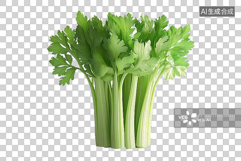 【AI数字艺术】新鲜绿色芹菜束图片素材