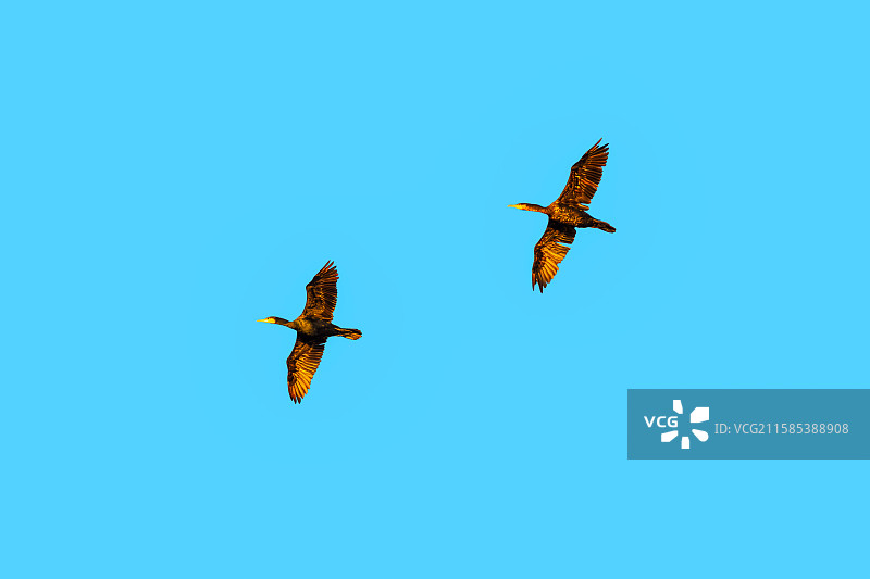 天高任我行图片素材