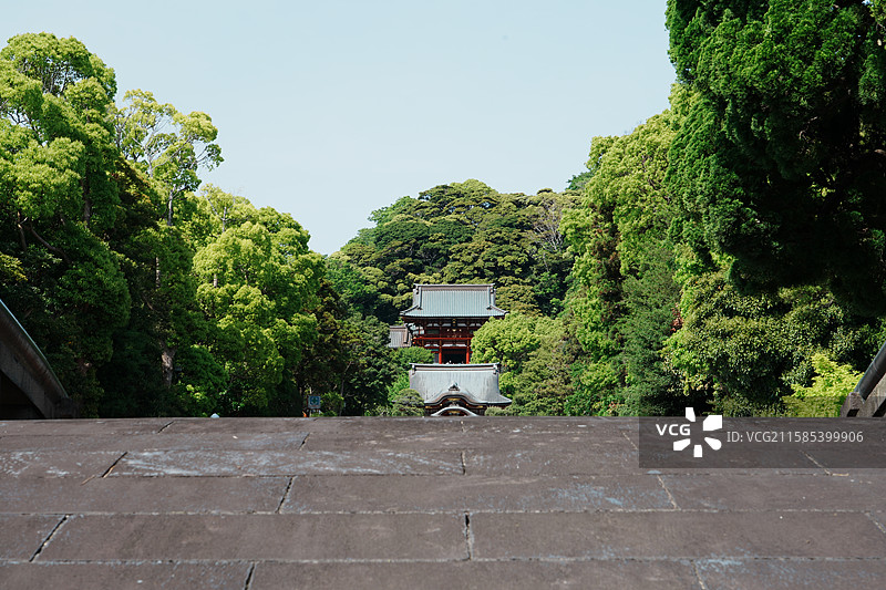 镰仓鹤冈八幡宫图片素材