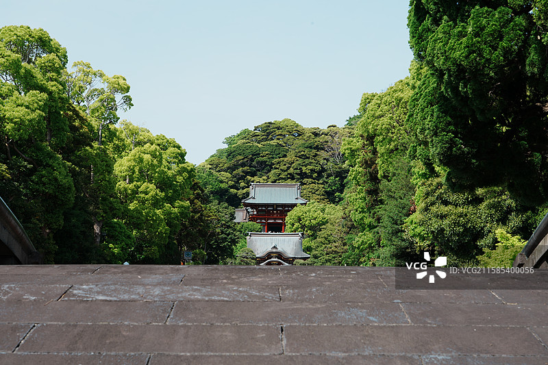 镰仓鹤冈八幡宫图片素材
