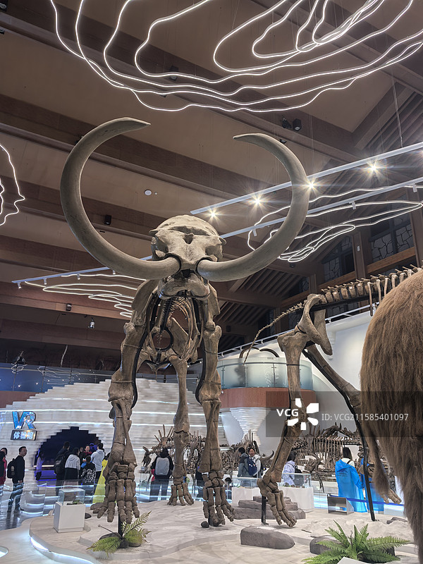 长白山北坡图片素材