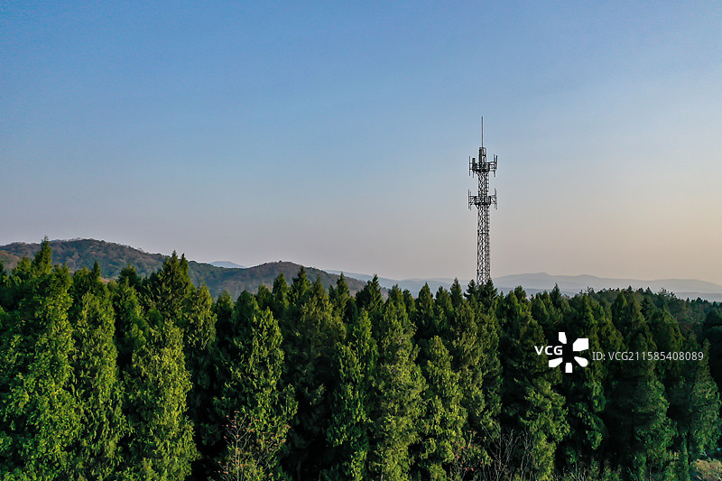 松林中耸立的金属信号塔图片素材