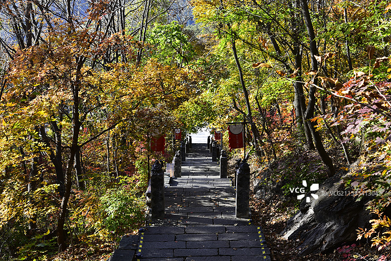 辽宁省本溪市五女山景区秋天枫叶红叶秋景图片素材