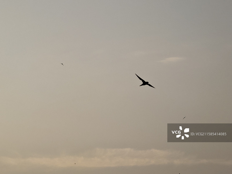 甘肃兰州·黄河风情园图片素材