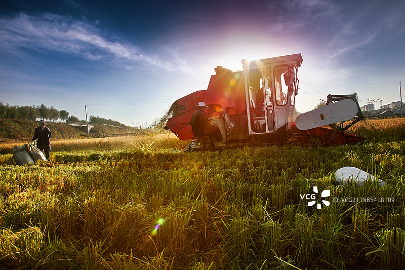 水稻机械收割作业图片素材