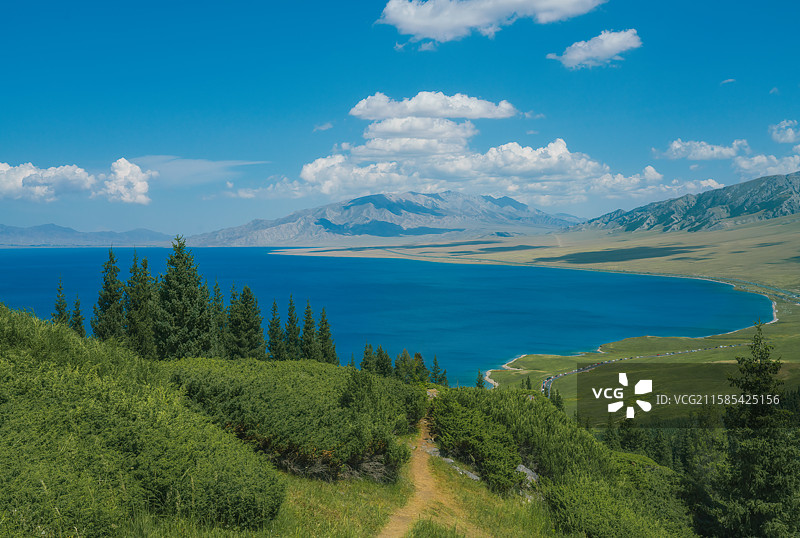 赛里木湖晴天松树湖泊风景图片素材