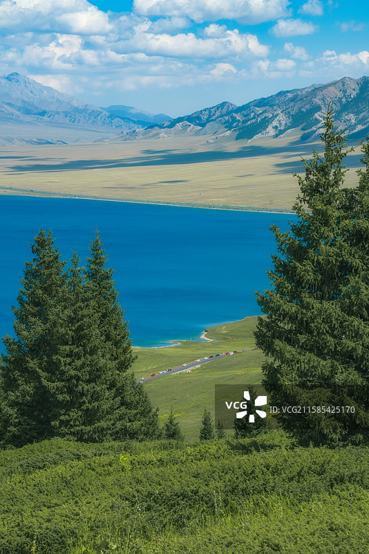 赛里木湖晴天松树湖泊风景图片素材