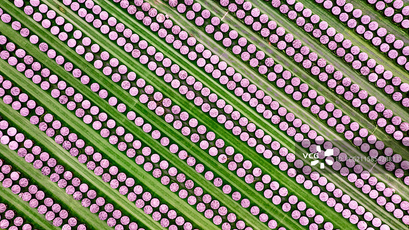 淮安市清江浦区浦楼酱醋厂醋存储罐外景航拍图片素材