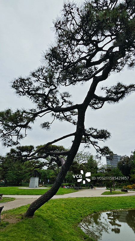 大阪住吉公园是 1873 年开放的古老公园，有历史遗迹，四季花草繁茂，兼具休闲与文化氛围图片素材