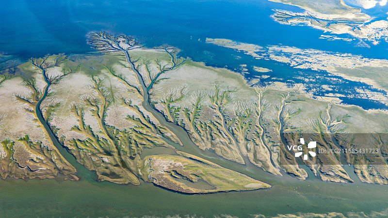 2025年8月15日，在江西省九江市都昌县水域，滩涂在水流分支的冲刷下，呈现出栩栩如生的大地之树图片素材