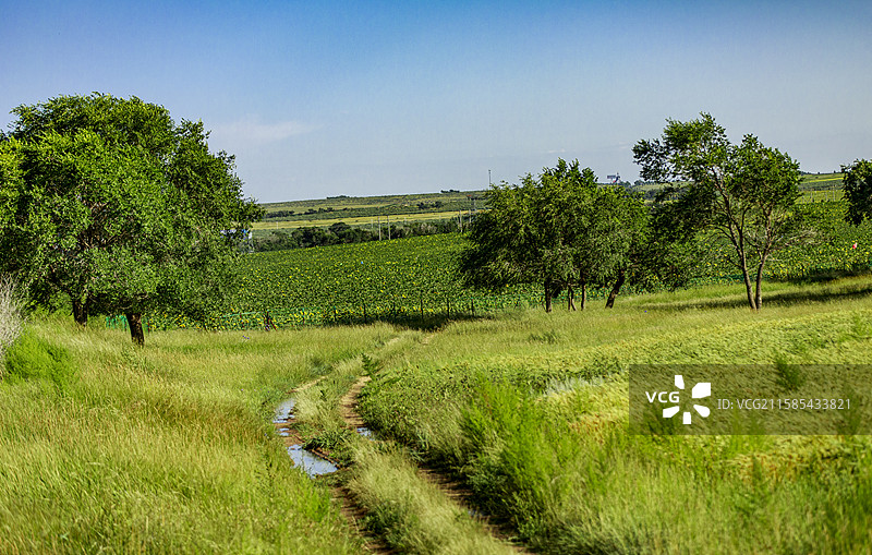 内蒙古自治区呼和浩特市武川县的田野景观图片素材