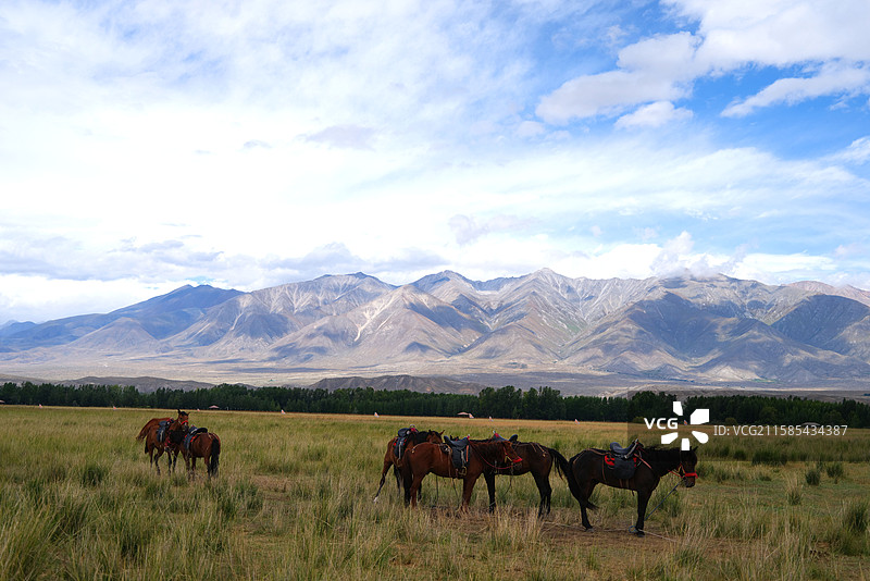 新疆博尔塔拉温泉县博尔塔拉河国家湿地公园自然美景图片素材