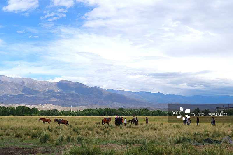 新疆博尔塔拉温泉县博尔塔拉河国家湿地公园自然美景图片素材