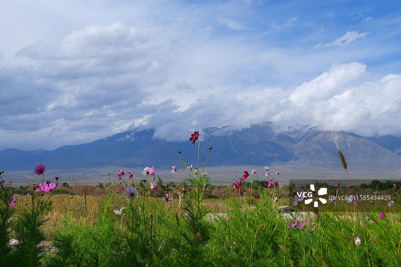 新疆博尔塔拉温泉县博尔塔拉河国家湿地公园自然美景图片素材