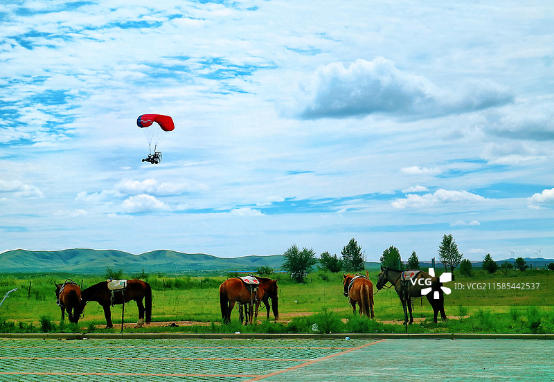 内蒙金莲川草原图片素材