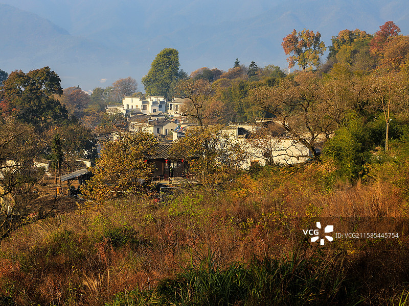 黄山市塔川秋色图片素材