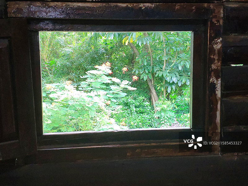 深圳锦绣中华民俗村——窗户外的植物图片素材