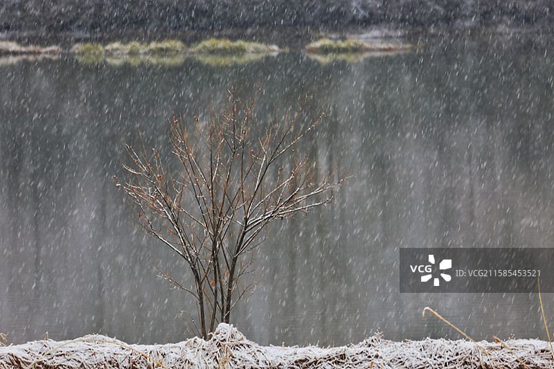 长白山漫江春季风光图片素材