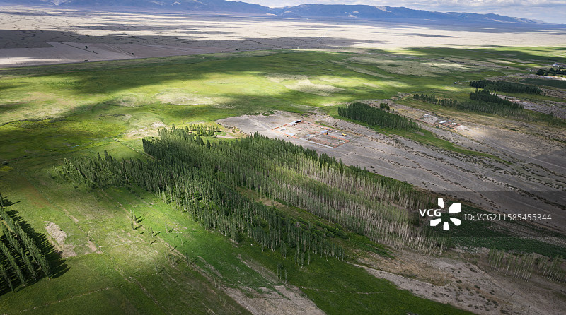 新疆塔城防护林带自然地物航拍图图片素材