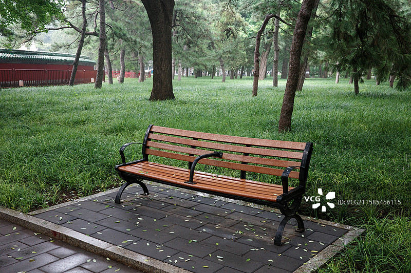 日坛雨霁：孤椅栖林的静美意韵图片素材