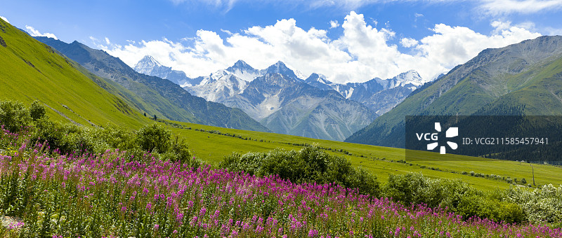 新疆 伊犁 夏塔 （世界级原生态旅游目的地 中国最美古道）图片素材