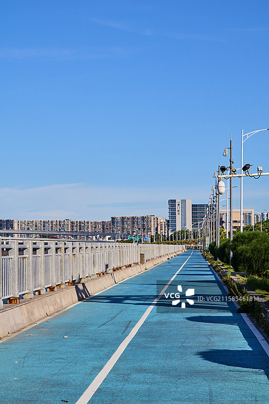 厦门花屿东路环岛路步道夏季风光图片素材