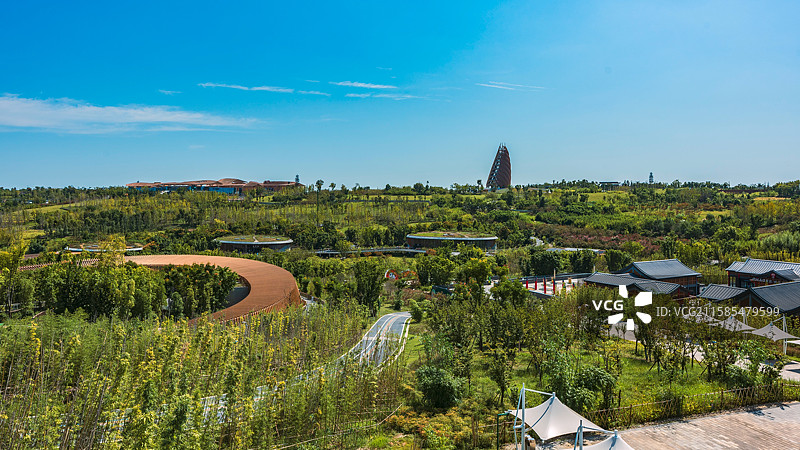 成都-成都大熊猫繁育研究基地-熊猫基地全景图片素材