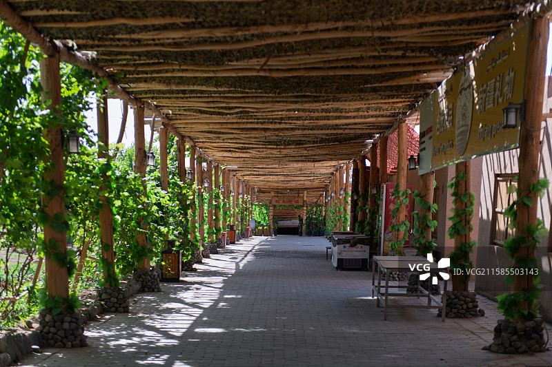 葡萄长廊与木棚架光影 新疆坎儿井源图片素材