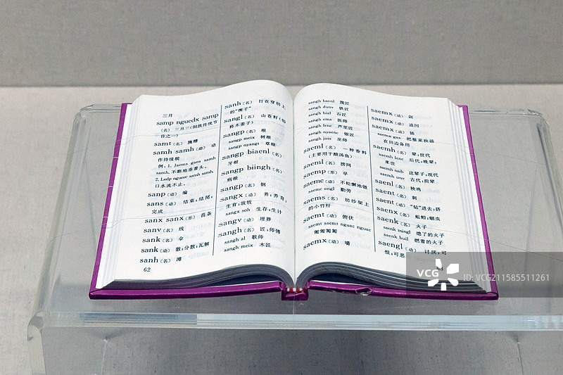 河南安阳中国文字博物馆侗文侗汉常用词典14x10x1cm图片素材