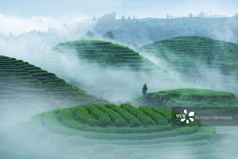 大地指纹图片素材