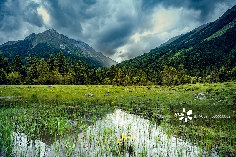 西藏林芝巴松措新措图片素材