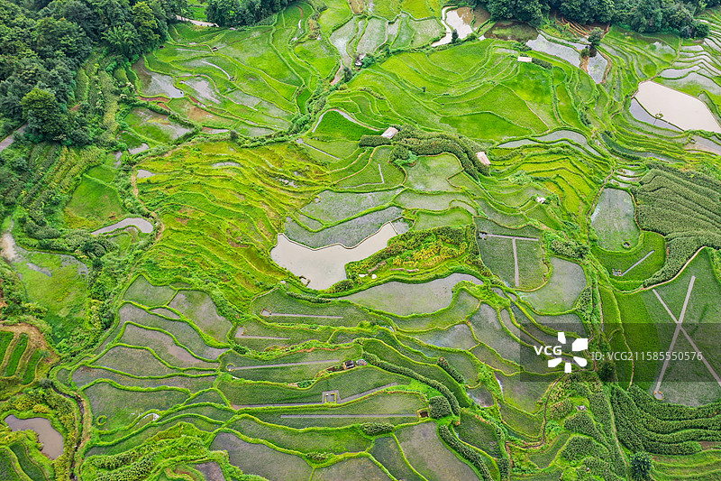 云南元阳箐口梯田景区航拍风光图片素材