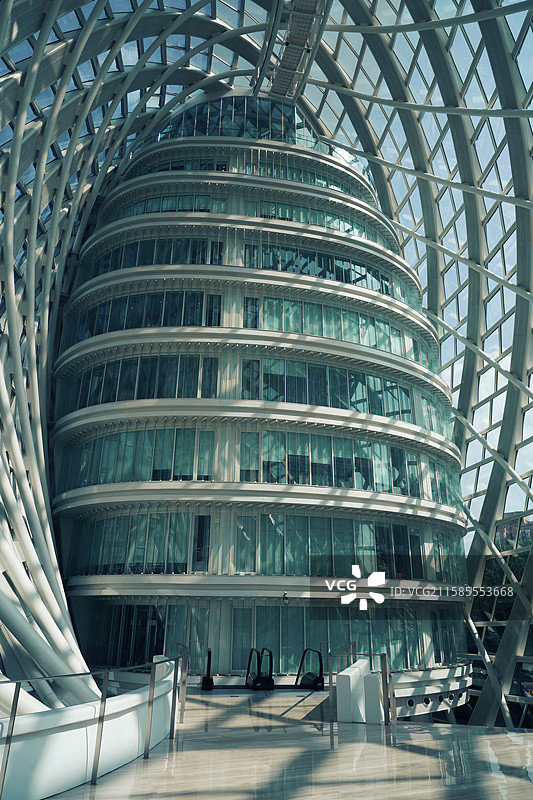 凤凰中心图片素材