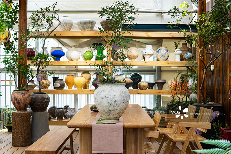中国健康生活方式拍摄主题，室内空间里的木制桌子椅子和架子上的盆栽植物，户外白昼无人图像摄影图片素材