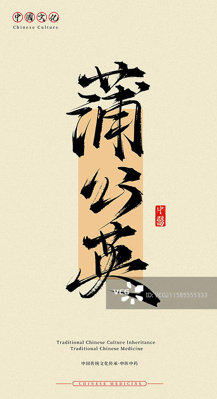 蒲公英（中国历史文化传承之中医中药名称手写书法字体素材）图片素材