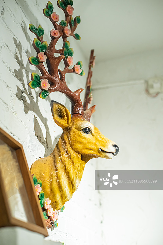 中国野生动物拍摄主题，墙壁上悬挂的的梅花鹿头部，室内无人图像摄影图片素材