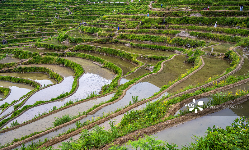 丽水云和梯田图片素材