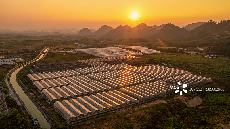糖料蔗双高基地图片素材