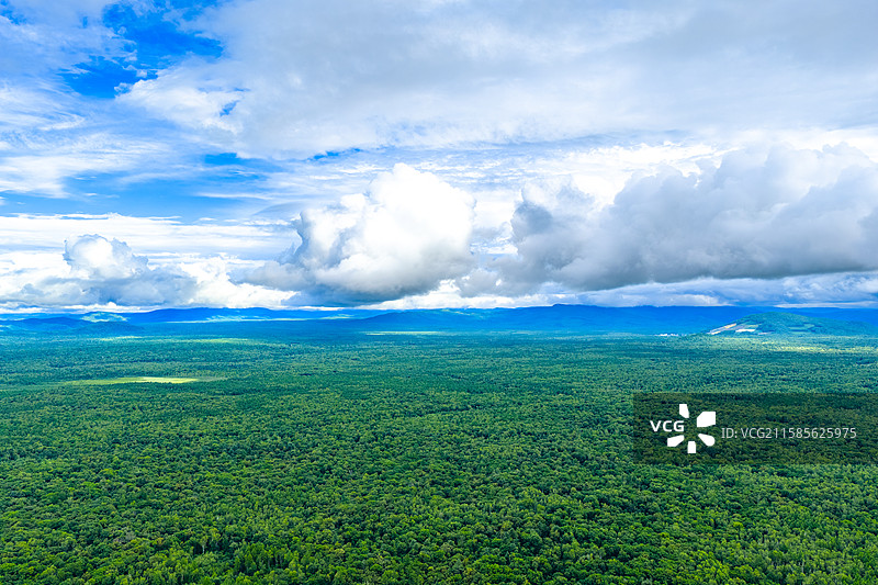 航拍夏天蓝天白云下的的吉林延边安图县长白山原始森林自然风光图片素材