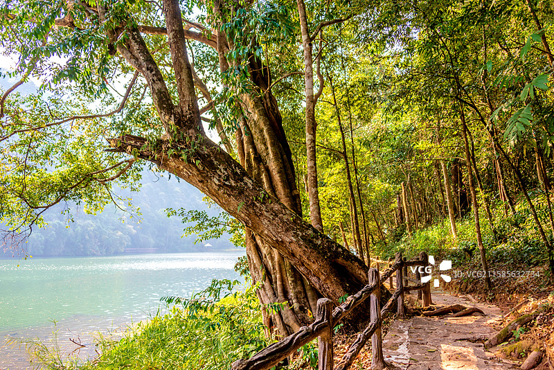 中国云南普洱西盟县勐梭龙潭湖景风光图片素材