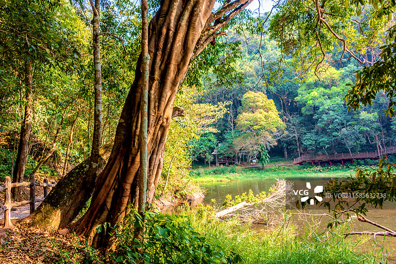 中国云南普洱西盟县勐梭龙潭湖景风光图片素材