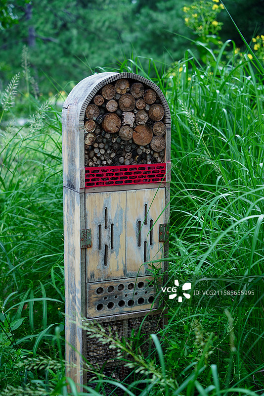 北京市国家植物园蜂房树枝树干标本图片素材